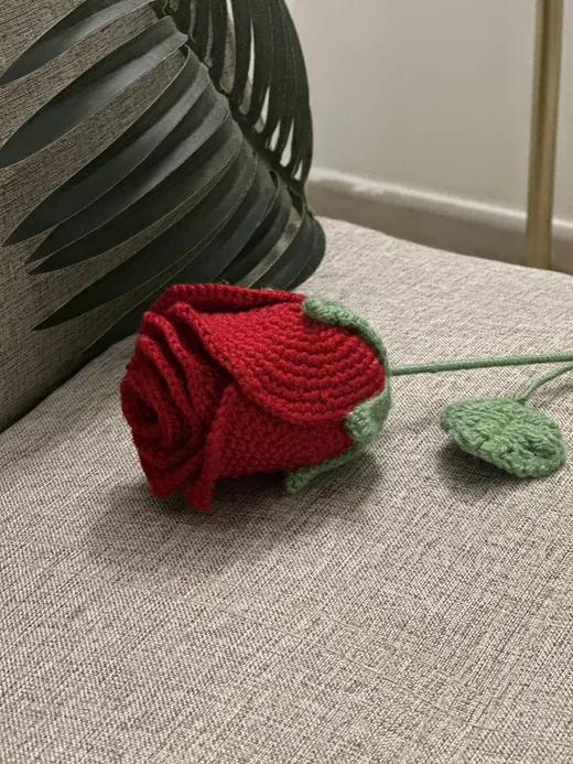 The Rosette brooch, full view