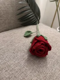 The Rosette brooch, on fabric